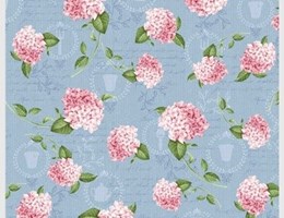 Hortênsia rosa sobre azul
