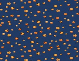Peixe peixinho Laranja sobre Azul