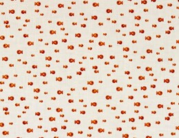 Peixe peixinho Laranja sobre Branco