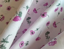 Papoila Amora Rosa Cinza
