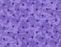 Detalhes tom sobre tom Violeta