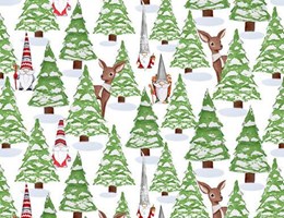 BRINCANDO NA NEVE - GNOMO E VEADO