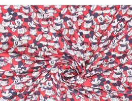 TE2257 - Mickey divertido