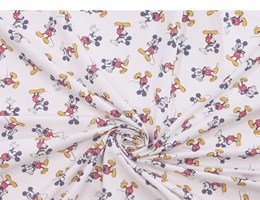 TE2258 - Mickey bem disposto 