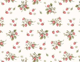 Morangos - Fundo Branco - Farm Meadow by Clare Therese Gray