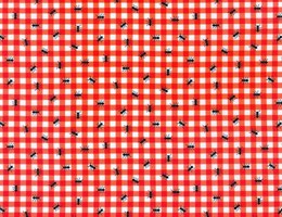 Formigas e xadrez vermelho
