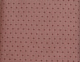 Centenary Collection By Saito & Lecien 701900