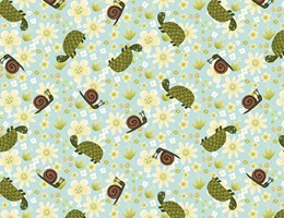 Tartaruga e Caracol 