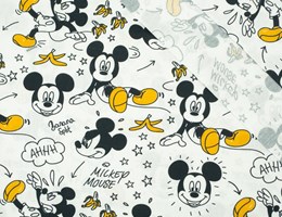 Mickey Pluto a brincar