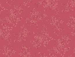 Roseiral tom sobre tom – Rosa