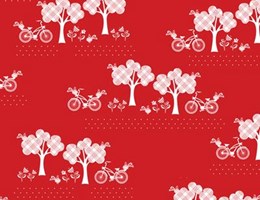 Passeio a branco e vermelho