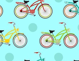 Bicicleta e passeio