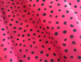 Pintas pretas sobre vermelho – Joaninha